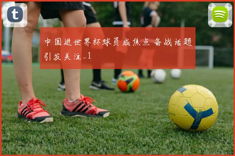 中国进世界杯球员成焦点 备战话题引发关注_1